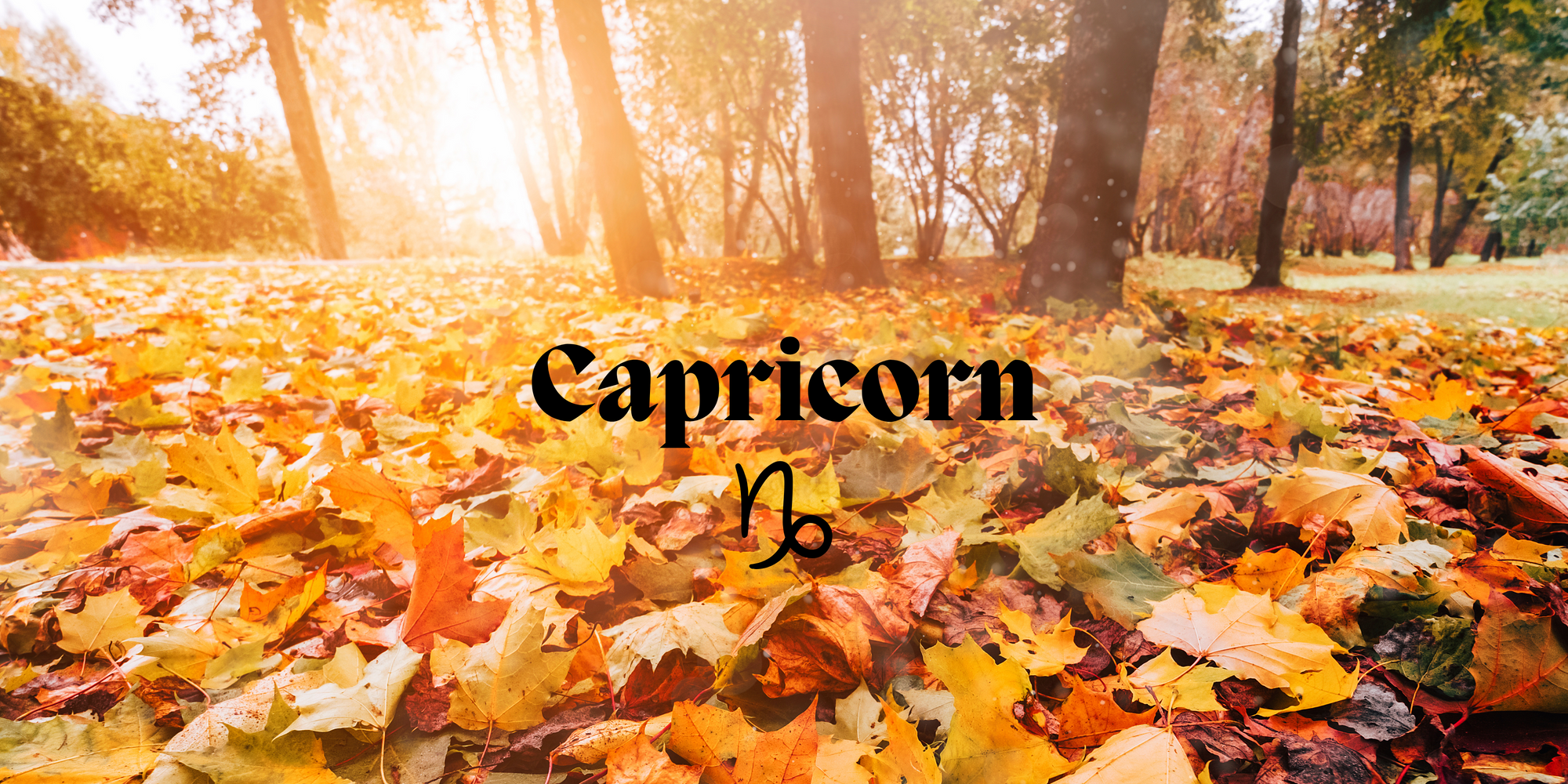 Capricorn December 22–January 19: Elevating Intimacy with Determination