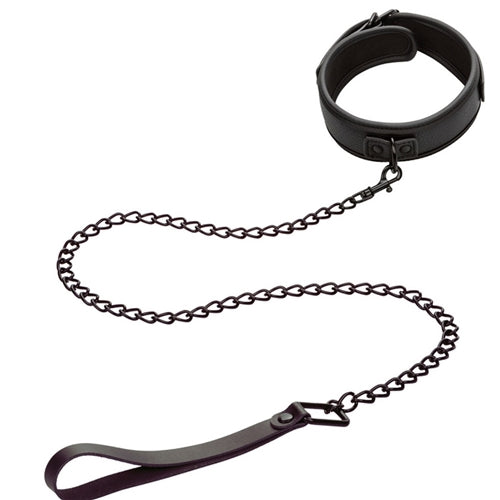 Nocturnal Collection Collar & Leash