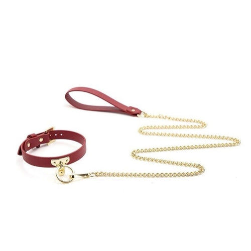 JCW Red and Gold Collar & Leash